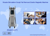 7 Тесла Электромагнитная Rf Ems Мышечная стимуляция Машина для скульптуры тела