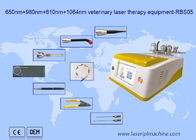 портативная машинка удаления волос лазера диода 650nm 810nm 980nm 1064nm для животной пользы